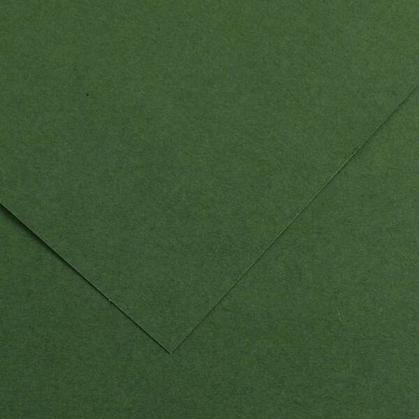 Canson Guarro Pack De 25 Cartulinas Iris De 185G - 50X65Cm - Color Verde Amazonas