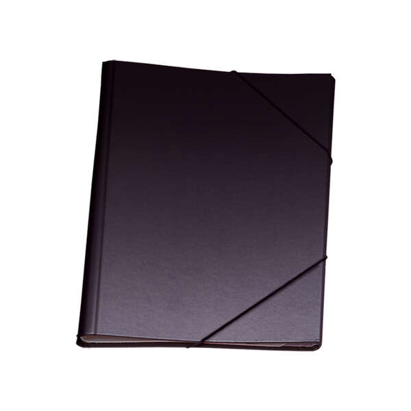 Dohe Carpeta Clasificadora 12 Departamentos - Formato Folio - Carton Plastificado - Cierre Con Gomas - Color Negro