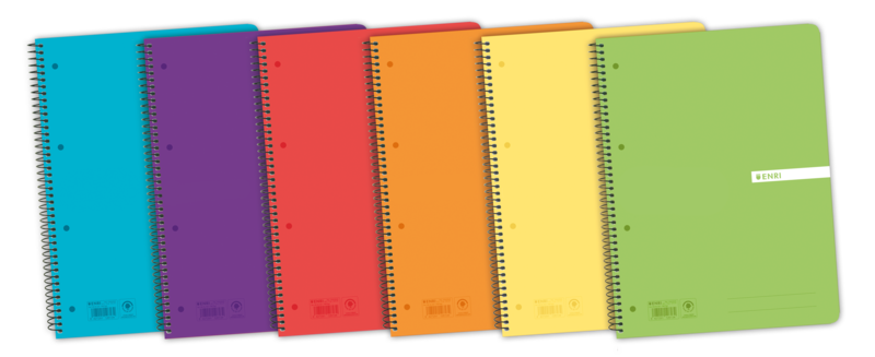 Enri Status Europeanbook A4+ Tapa De Plastico Translucido - Cuaderno Con 120 Hojas - Formato 5X5 - Surtido De Colores - Ideal Para Apuntes Y Dibujos