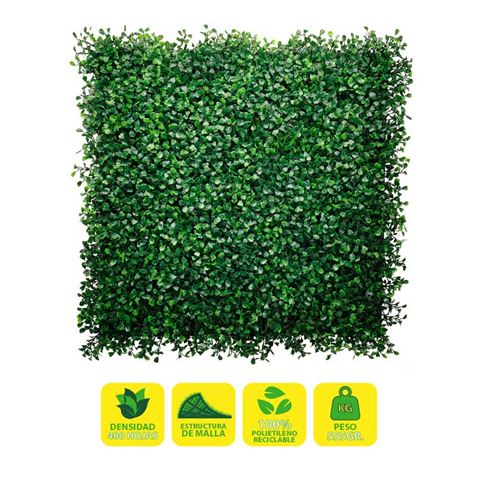 Sungarden Jardin Vertical Serie Floraria 50X50Cm - Color Verde